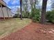 Large backyard with fresh pine straw, offering privacy and space for outdoor activities at 71 Dillard Ne Dr, Kennesaw, GA 30144