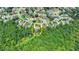 An aerial view captures a cozy neighborhood with tree-lined streets and manicured lawns at 7020 Grassmoor Grange Way, Cumming, GA 30040