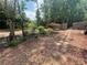 Landscaped backyard with rock pathway and manicured garden beds at 7020 Grassmoor Grange Way, Cumming, GA 30040