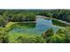 Scenic aerial view of a green algae-covered pond surrounded by trees and lush landscaping at 7020 Grassmoor Grange Way, Cumming, GA 30040