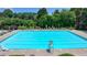 Large outdoor pool area with lounge chairs and umbrellas, surrounded by lush greenery at 7020 Grassmoor Grange Way, Cumming, GA 30040