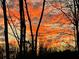 Dramatic sunset over a silhouetted treeline at 7020 Grassmoor Grange Way, Cumming, GA 30040