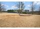 Spacious backyard perfect for outdoor activities and recreation at 4535 Meadow Green Ln, Acworth, GA 30101