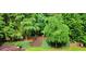 Beautiful landscaped backyard featuring stone steps, mature trees, lush greenery, and an inviting outdoor space at 8070 Georgetown Cir, Suwanee, GA 30024