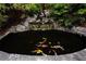 Beautiful backyard koi pond featuring a waterfall, lush greenery, and colorful fish at 904 Beaumont Ct, Canton, GA 30114