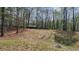 Large, flat cleared space in wooded lot of property with boat trailer parked in back at 1504 Kimberly Pl, Canton, GA 30114