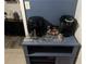 Close up of small blue shelf with coffee maker and air fryer at 1506 Ravenel Rd, Conley, GA 30288