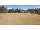 A large grassy common area with trees and homes in the background at 4215 Evans Farms Dr, Cumming, GA 30040