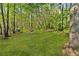 Grassy backyard offers plenty of space for outdoor activities at 3541 Hutcheson Ferry Rd, Whitesburg, GA 30185