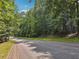 Scenic view of a quiet street surrounded by lush trees and greenery at 146 Sherwood Ln, Canton, GA 30115