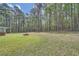 Expansive backyard with lush green grass, mature trees, and serene natural surroundings at 6435 E Glen Rd, Lithonia, GA 30038