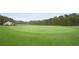 A well-maintained golf course features a green with flags and a scenic view of the surrounding trees at 307 Downing Creek Trl, Canton, GA 30114
