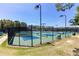 Well-maintained tennis courts surrounded by lush greenery and fencing at 307 Downing Creek Trl, Canton, GA 30114