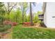 Lush backyard with mature trees, a glimpse of a screened-in porch, and vibrant azaleas at 1800 East Gate Dr, Smoke Rise, GA 30087