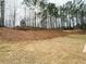 Lush backyard displaying freshly laid sod, complemented by a backdrop of mature trees at 120 Cedar Cliff Ct, Temple, GA 30179