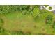 Aerial view of grassy field, surrounded by lush, mature trees, offers privacy and natural beauty at 85 Carroll Slough Rd, Kingston, GA 30145