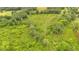 Aerial shot shows a large grassy area bordered by trees, providing a sense of seclusion and natural beauty at 85 Carroll Slough Rd, Kingston, GA 30145