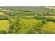 Aerial view of a property's lush landscape, including open fields and dense tree coverage at 85 Carroll Slough Rd, Kingston, GA 30145