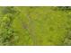 Aerial shot of grassy land with dirt trails, surrounded by lush trees, showcasing property's nature at 85 Carroll Slough Rd, Kingston, GA 30145
