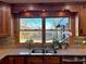 Close up of a kitchen window over sink with stainless steel faucet and granite countertops at 85 Carroll Slough Rd, Kingston, GA 30145