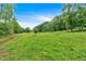 Picturesque view of the property's expansive, lush green field surrounded by mature trees at 85 Carroll Slough Rd, Kingston, GA 30145