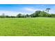 Vast, verdant field offering a glimpse of the home in the distance under a bright sky at 85 Carroll Slough Rd, Kingston, GA 30145