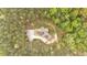 Aerial view of a home with a long driveway, surrounded by dense trees for privacy at 3800 Macland Rd, Hiram, GA 30141