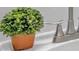 Close-up of bathroom faucet with greenery at 404 Foxwood Ct, Mcdonough, GA 30253