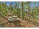 Scenic backyard featuring a picnic table, lush trees, and a glimpse of the lake, perfect for outdoor enjoyment at 3125 Lakeside Dr, Cumming, GA 30041