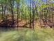 Picturesque view of the lake surrounded by trees at 3125 Lakeside Dr, Cumming, GA 30041