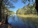 Scenic view of a tranquil lake surrounded by lush green trees, providing a serene and natural setting at 5655 Mccoy Rd Nw, Acworth, GA 30101