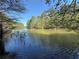 Picturesque view of a calm lake bordered by verdant forest trees, creating a peaceful and secluded atmosphere at 5655 Mccoy Rd Nw, Acworth, GA 30101