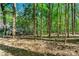 This wooded backyard offers a great, natural setting at 3300 Old Mill Ct, Decatur, GA 30033