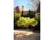 A lush backyard featuring a Japanese maple tree surrounded by stones and a tiled patio at 902 Lenox Hill Ne Ct, Atlanta, GA 30324