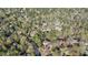 Aerial view showcasing a residential neighborhood surrounded by mature trees at 9105 Old Southwick Pass, Johns Creek, GA 30022
