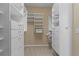 Spacious walk-in closet provides ample storage space with lots of shelving and drawer units at 423 Morgan Falls Chase, Canton, GA 30114