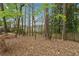 Wooded backyard space with mature trees and privacy fence at 310 Kingspring Ct, Roswell, GA 30076
