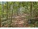 Natural wooded setting with walking paths and diverse foliage at 671 Valley Green Ne Dr, Atlanta, GA 30342