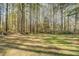 Expansive backyard surrounded by tall trees providing privacy and a natural setting at 460 Haynes Creek Circle, Oxford, GA 30054