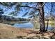 Beautiful, serene view of lake from a mature lot with plenty of trees and peaceful vistas at 9600 Poplar Ct, Douglasville, GA 30135