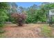 Expansive backyard with a mix of greenery, trees, and natural surroundings at 206 Towler Dr, Loganville, GA 30052