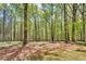 Landscaped yard surrounded by mature trees and lush greenery at 4336 Yancey Rd, Douglasville, GA 30135