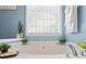 Bright bathroom features a soaking tub with stylish fixtures and a view from the window at 512 Watercress Dr, Woodstock, GA 30188