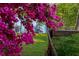 A vibrant pink azalea frames a view of the lake, adding a splash of color to the lush backyard at 6477 Old Shadburn Ferry Rd, Buford, GA 30518