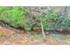 View of a stream and a treeline beyond the grassy area at 3045 Hartridge Dr, Johns Creek, GA 30022