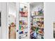 Walk-in pantry with custom shelving providing ample storage at 622 Rocky Creek Pt, Woodstock, GA 30188