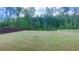 Spacious backyard with lush green grass, a privacy fence, and mature trees, creating a serene outdoor space at 556 Paden Ridge Way, Lawrenceville, GA 30044