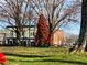 Festive town square decorated with a large Christmas tree and red ribbons and bows at 825 Maplewood Dr, Roswell, GA 30075