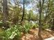 Picturesque pond surrounded by lush greenery, creating a tranquil outdoor space at 409 Kenley Ct, Mcdonough, GA 30253