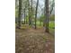 A vacant lot with mature trees and a grassy area at 4620 Oak Grove Cir, Cumming, GA 30028